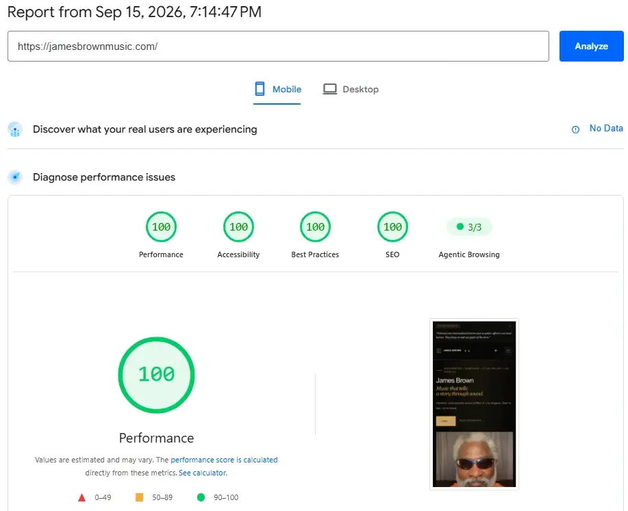 Mobile PageSpeed score of 100/100